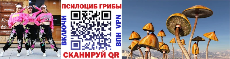 кракен как зайти  Курлово  Псилоцибиновые грибы ЛСД 